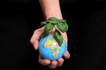 dłoń, globus i roślina